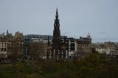 DSC_7391 (Large).JPG